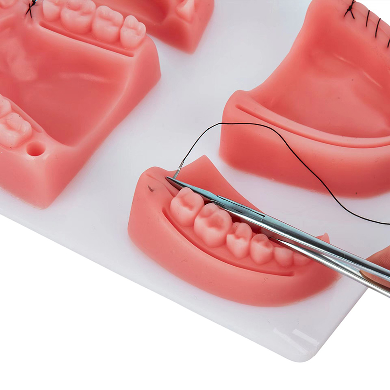 Kit de Treinamento para Sutura - Medical Lab Kit avaliação e preço